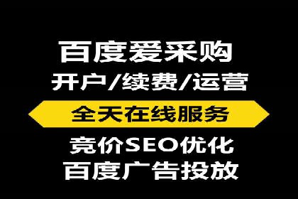 百度竞价托管外包案例：打造行业领军品牌